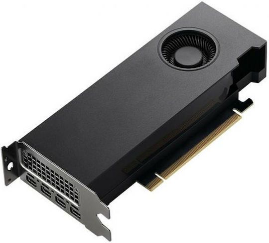 PNY RTX 2000 Ada 16GB GDDR6 Graphics Card view 1