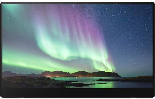 Ricoh 150 OLED Touch Portable Monitor 15.6" FHD 1920x1080 view 5
