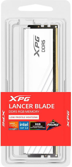 Adata DDR5 with Module 1x16GB and Speed 6400 for Desktop AX5U6400C3216G-SLABRWH view 3
