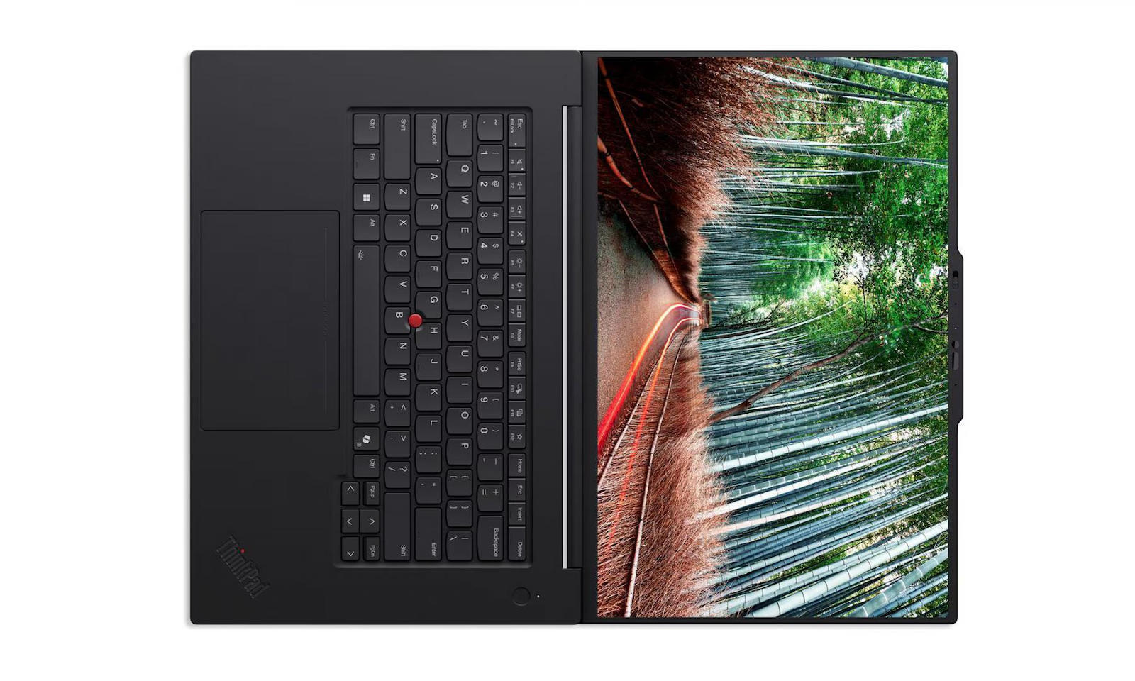 Lenovo ThinkPad T1g Gen 8 16" FHD+ (Ultra 7-255H/32GB/1TB SSD/GeForce RTX 5060/W11 Pro) (US Keyboard) view 5