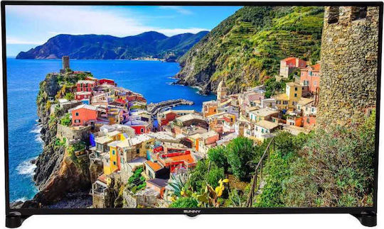 Sunny Television 49" Full HD LED SN49DLK019 (2019) view 1