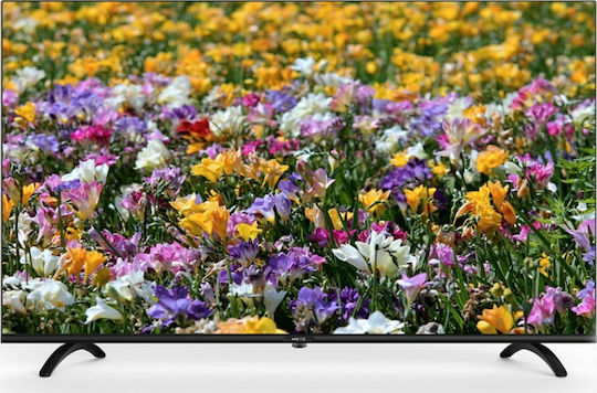 Metz Television 40" Full HD LED 40MTB2000Z (2020)