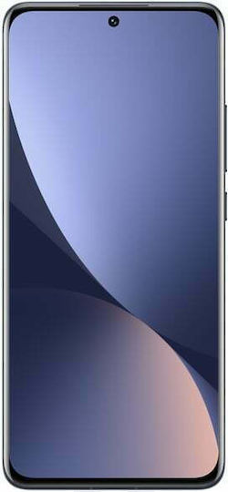 Xiaomi 12 5G Dual SIM (8GB/128GB) Gray view 2