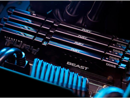 Kingston FURY Beast DDR5 with Module 1x16GB and Speed 6000 for Desktop KF560C30BBE-16 vue 8