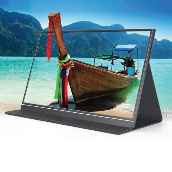IPS HTVA ViewGo S19 IPS Portable Monitor 15.6" FHD 1920x1080 Silver view 8