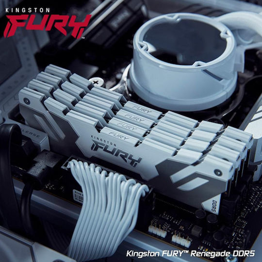 Kingston Fury Renegade DDR5 With Module 1x24GB And Speed 8400 For Desktop KF584CU40RW-24 view 5