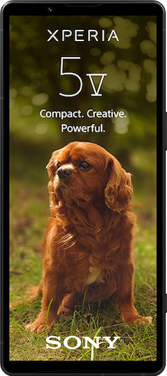 Sony Xperia 5 V 5G Dual SIM (8GB/128GB) Black view 2