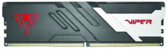 Pat Says Now Viper Venom DDR5 with 1x8GB Module and Speed 6000 for Desktop