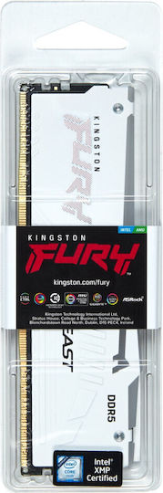 Kingston Fury Beast RGB DDR5 with Module 1x16GB and Speed 6800 for Desktop KF568C34BWEA-16 view 4