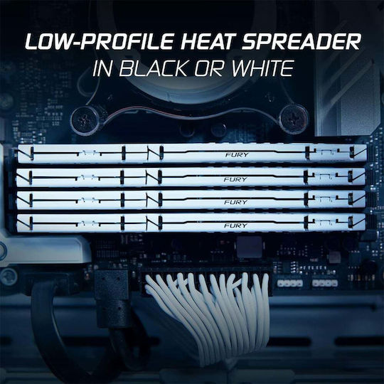 Kingston Fury Beast DDR5 with Module 1x16GB and Speed 5600 for Desktop KF556C36BWE-16 view 7