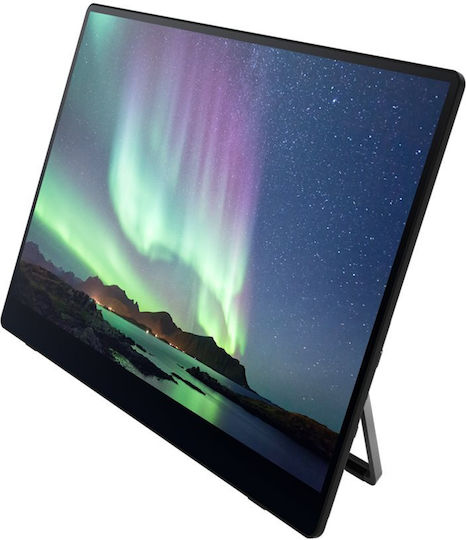 Ricoh 150BW OLED Touch Portable Monitor 15.6" FHD 1920x1080 view 2