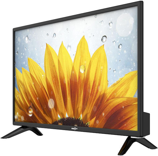 Winstar Television 24" HD Ready LED TV24V5 (2022) view 3
