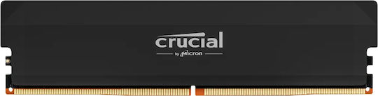 Crucial Pro DDR5 with 1x16GB Module and Speed 6000 for Desktop CP16G60C36U5BT