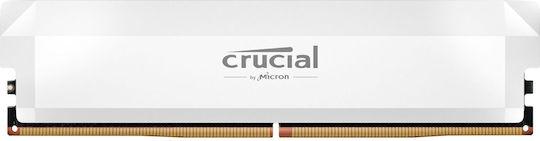 Crucial Pro DDR5 with Module 1x16GB and Speed 6000 for Desktop CP16G60C36U5W