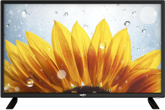 Winstar Television 24" HD Ready LED TV24V5 (2022) view 1