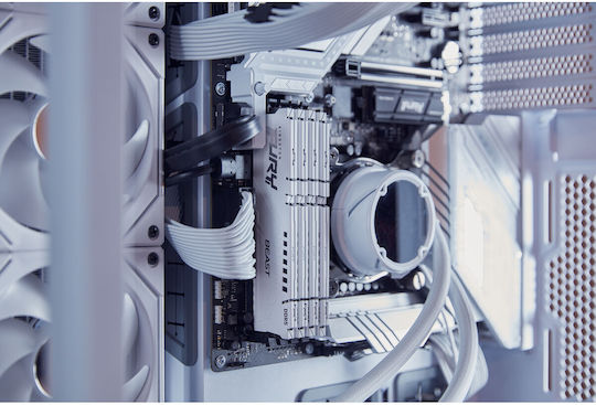 Kingston Fury Beast DDR5 with Module 1x32GB and Speed 6000 for Desktop KF560C30BWEK2-32 vista 5