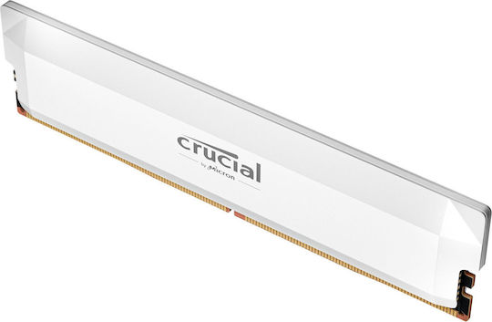 Crucial Pro DDR5 with Module 1x16GB and Speed 6000 for Desktop CP16G60C36U5W vue 3
