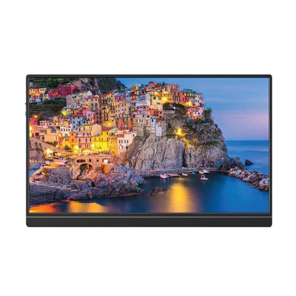 IPS HTVA ViewGo S19 IPS Portable Monitor 15.6" FHD 1920x1080 Silver view 7
