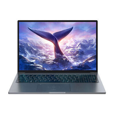 BlackView GamiBook 8 16" IPS FHD+ (Ryzen 7-7735HS/16GB/512GB SSD/W11 Pro) (US Keyboard) view 1