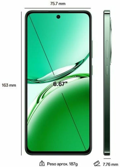 Oppo Reno12 FS 5G Dual SIM (12GB/512GB) Olive Green view 6
