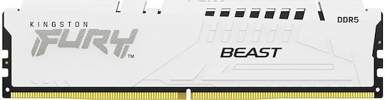 Kingston Fury Beast DDR5 with Module 1x16GB and Speed 5600 for Desktop KF556C36BWE-16 view 2