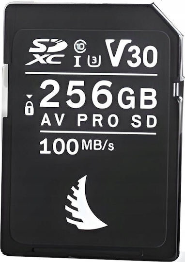 Angelbird Av Pro SDHC 256GB Class 10 U3 V30 UHS-I view 1