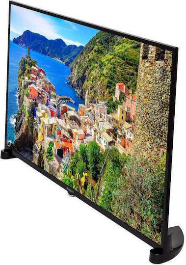 Sunny Television 49" Full HD LED SN49DLK019 (2019) view 2