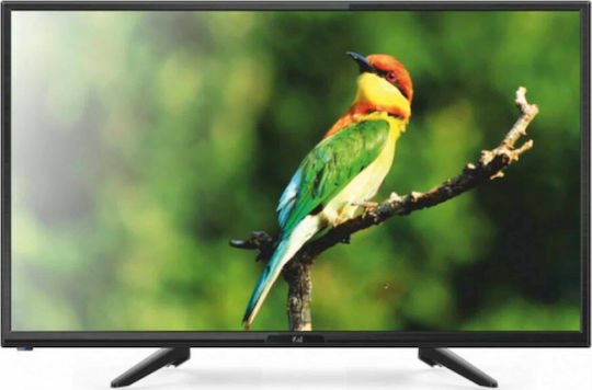 F&U Television 24" HD Ready LED FL24112 (2021) view 1