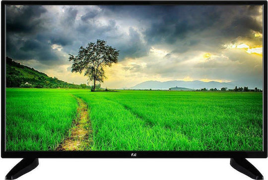 F&U Television 24" HD Ready LED FL24116 (2022) view 3