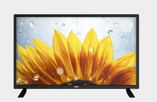 Winstar Television 24" HD Ready LED TV24V5 (2022) view 4