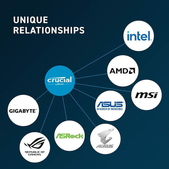 Crucial DDR5 with Module 1x8GB and Speed 5600 for Desktop CT8G56C46U5 vue 5