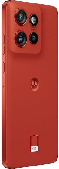 Motorola Edge 50 Neo 5G (12GB/512GB) PANTONE Poinciana view 6