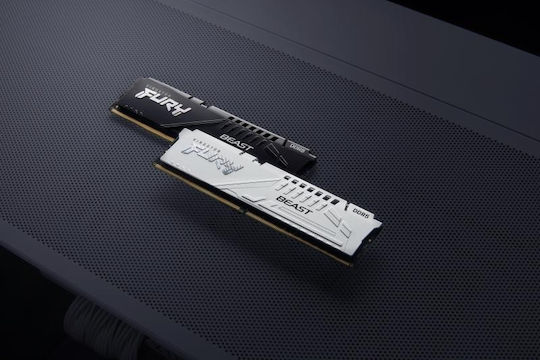 Kingston FURY Beast DDR5 with Module 1x16GB and Speed 6800 for Desktop KF568C34BBE-16 view 8