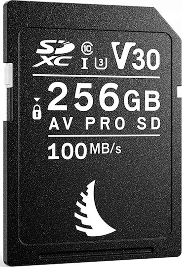 Angelbird Av Pro SDHC 256GB Class 10 U3 V30 UHS-I view 2
