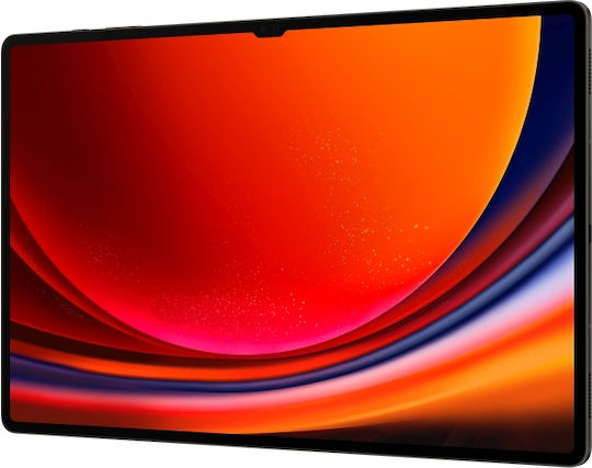 Samsung Galaxy Tab S9 Ultra 5G 14.6" (16GB/1TB) Graphite view 5
