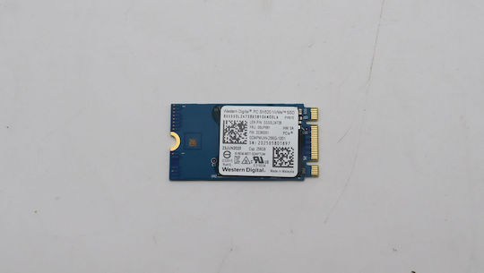 Lenovo SSD 256GB W125629799