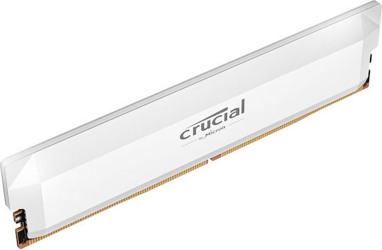 Crucial Pro DDR5 with Module 1x16GB and Speed 6000 for Desktop CP16G60C36U5W vue 2