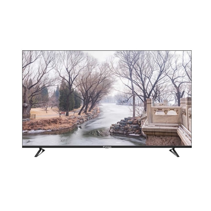 Fobem Smart Television 65" 4K UHD QLED Fobem HDR (2022) vue 3