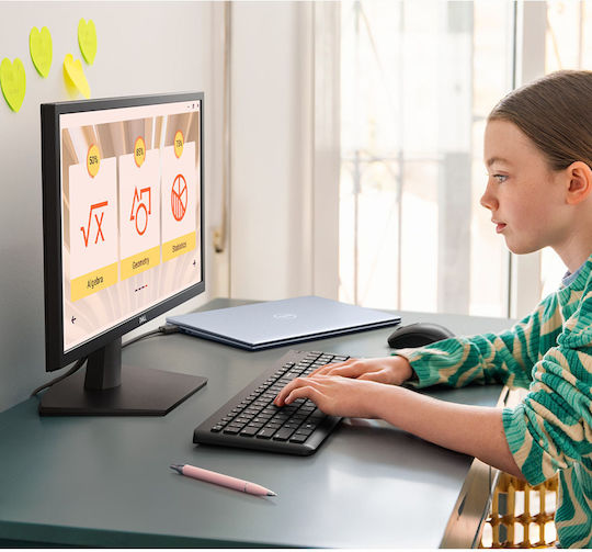 Dell SE2225H VA Monitor 21.5" FHD 1920x1080 view 6