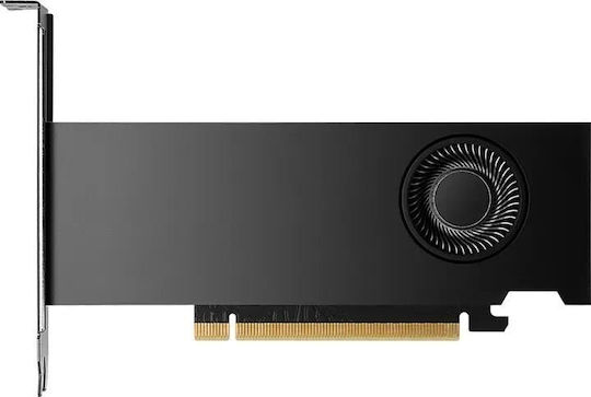 PNY RTX 2000 Ada 16GB GDDR6 Small Box Graphics Card view 4