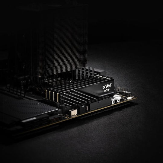 Adata Lancer DDR5 with Module 1x16GB and Speed 5600 for Desktop AX5U5600C4616G-SLABBK vista 8
