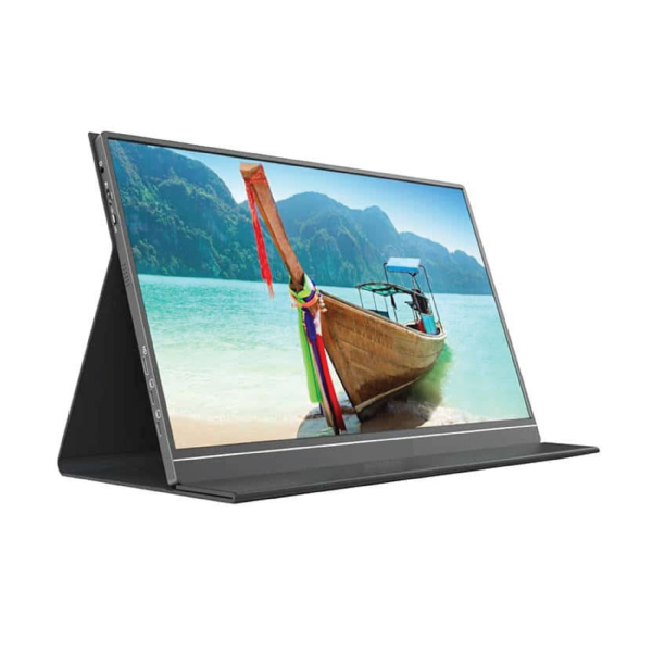 IPS HTVA ViewGo S19 IPS Portable Monitor 15.6" FHD 1920x1080 Silver view 4
