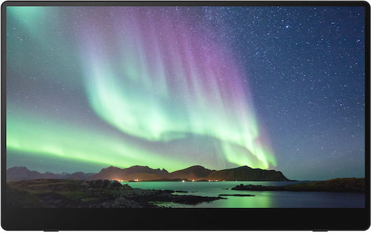 Ricoh 150BW OLED Touch Portable Monitor 15.6" FHD 1920x1080