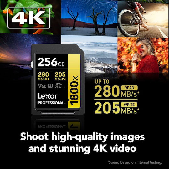 Lexar Professional 1800x SDXC 256GB Class 10 U3 V60 UHS-II vista 4