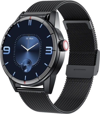 R6 1.32 Inch Round Screen 2 In 1 Bluetooth Earphone Smart Watch Support Bluetooth Call Health Monitoring Black Steel Strap