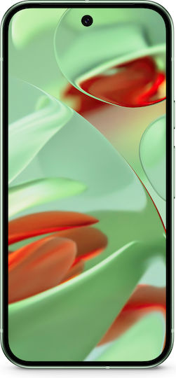 Google Pixel 9 5G (12GB/256GB) Wintergreen view 6