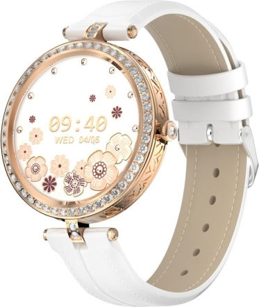Gt10 1.32 Inch Color Screen Smart Watch Support Heart Rate Monitoring Blood Pressure Monitoring Gold White view 1