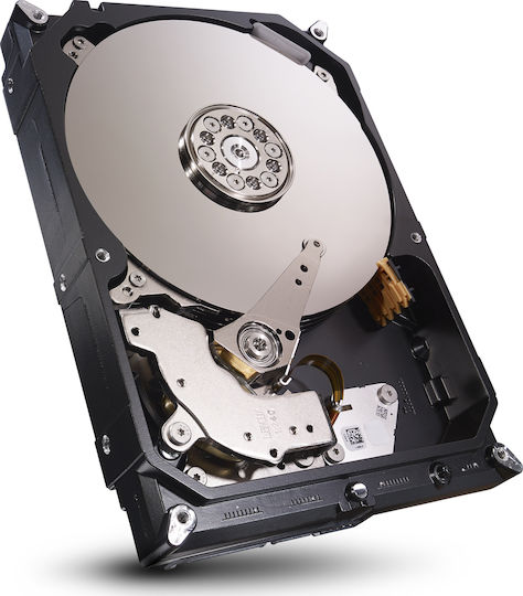 Seagate Skyhawk 1TB HDD Hard Drive 3.5" SATA III 5900rpm with 64MB Cache for Recorder ST1000VX005