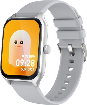 P58 1.96 Inch Color Screen Smart Watch Support Heart Rate Monitoring Blood Pressure Monitoring Silver view 1