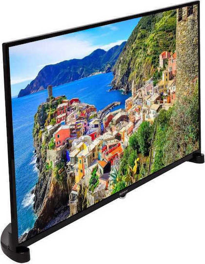 Sunny Television 49" Full HD LED SN49DLK019 (2019) view 3